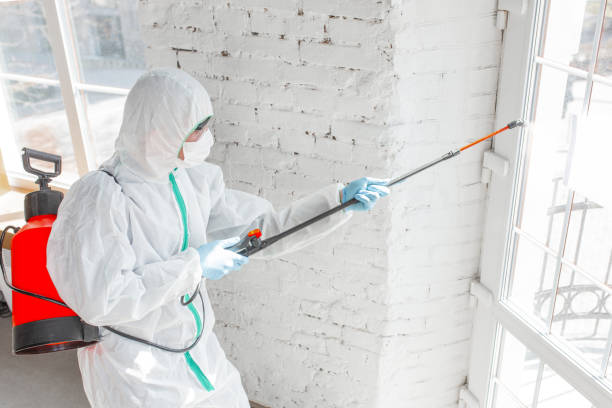 Why You Should Choose Our Mold Remediation Services in Wayne, NE